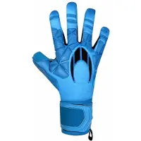 Ho Soccer Ssg Legend Ergo Gecko Torwarthandschuhe