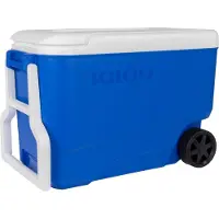 Igloo Passiv-Kühlbox Wheelie Cool 38 mit Rollen