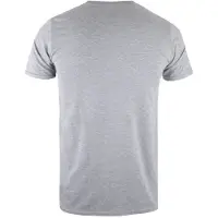 - T-shirt LEGENDARY DEFENDERS OF THE REPUBLIC - Homme (Gris)