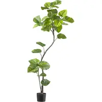 Creativ Green Kunstpflanze "Ficus umbellata" mit tollem Blattwerk