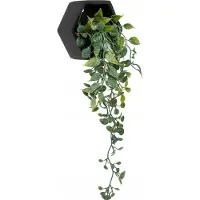 Atmosphera Sztuczna roślina wisząca w cementowej doniczce AYAME, 14 cm