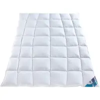 Haeussling Daunenbettdecke "Hjemme Hygge", warm, Füllung 90% Daunen, 10% Federn, (1 St.)