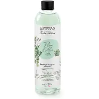 Esteban Aloe Blume Nachfüller für Bukett 250ml