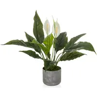 Hjh OFFICE Spathiphyllum 1
