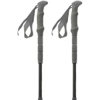 Pinguin Carbon Fl Foam Stöcke