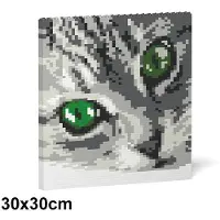 Jekca Bricks Cat Eyes Brick Painting 01S-M02 ST24CCE01-M02