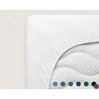 Schlafgut Spannbettlaken "PURE Bio-Baumwolle mit Elasthan, dehnbar blickdicht, straff, Bettlaken", PREMIUM Laken für Matratzen bis 30cm Höhe, in 90x200, 140x200, 180x200