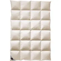 Billerbeck 108 DUCHESSA