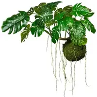 Creativ Green künstliche Pflanze Splitphilodendron Drahthänger, auf Mooskugel 28cm, H ca 80cm, B ca 120cm