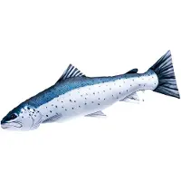 Gaby Fish Cushion Sea Trout