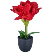 Creativ Green Kunstblume "Amaryllis" mit traumhaft schöner Blüte