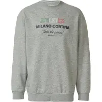 s.Oliver Sweatshirts Grey Größe: M | Pullover Outlet | Herren | Grau