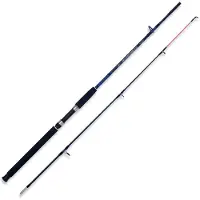 LINEAEFFE Caspian Pro Spinnrute Silber 2.40 m / 250 g Silber 2.40 m