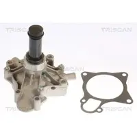 TRISCAN Wasserpumpe 8600 15039