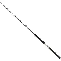Daiwa Sealine X Trollingrute Silber 1.75 m / 50-80 Lbs Silber 1.75 m