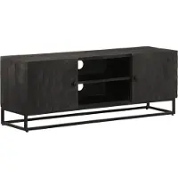 vidaXL TV-Schrank Schwarz 110x30x40 cm Massivholz Mango und Eisen