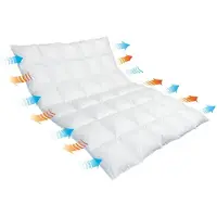 Traumina Breeze Daune Duo-Einziehdecke WK 4 Größe 135x200 cm