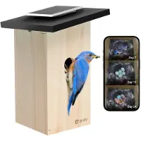 Birdfy Birdhouse Nistkast mit Kamera Ebony Lite Smart – Intelligentes, solarbetriebenes Vogelhaus und KI-Vogelerkennung - EPPAMBNI8802110