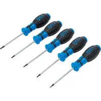 Bgs Schraubendreher-Satz T-Profil (für Torx) mit Bohrung T6 - T10 5-tlg.