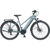 Prophete "Entdecker 3.8" 8 Gang Shimano Altus Schaltwerk Kettenschaltung Mittelmotor 250 W Pedelec, Elektrofahrrad für Damen