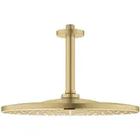 GROHE Rainshower Mono 310, Gold, 1 Stück(e)