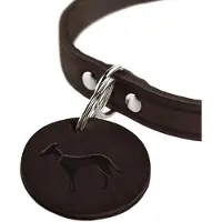 Hunter Halsband Aalborg - Dunkelbraun - S
