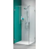 Sealskin Get Wet I Am Draaideur voor zijwand 100x200cm RVS/Helder glas (antikalk)