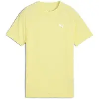 Puma T-Shirt Evostripe B