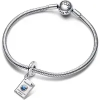 Pandora Armband Charms 792680C01