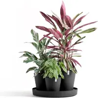 Ecopot's Dubai er Blumentopf - L 56,5 cm x H 30,7 cm - Innen- und Außenbereich