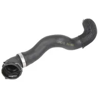 THERMOTEC Kühlerschlauch Wasserschlauch für OPEL Corsa D Schrägheck (S07) DWX046TT