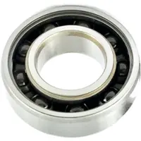 BLACK BEARING 6802-2rs Ceramic Lager