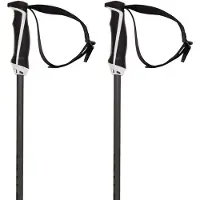 Völkl Herren Alpin-Skistock PHANTASTICK 16MM WHITE POLES