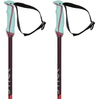 Völkl Phantastick 18mm Stöcke