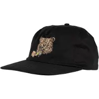 Santa Cruz Braun Great Outdoors Snapback Kappe