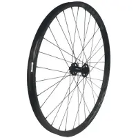 Gtr Sl30 29´´ Disc Tubeless Mtb Vorderrad