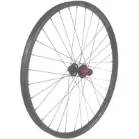 Gtr Sl30 29´´ Cl Ratchet Disc Tubeless Mtb Hinterrad