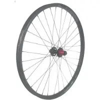 Gtr Sl30 29´´ Cl Disc Tubeless Mtb Hinterrad