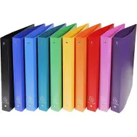 Exacompta 51699E A4 Ringbuch Multicolour
