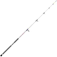 Expert Predator Skipjack Bootsrute Silber 2.40 m / 100-300 g Silber 2.40 m