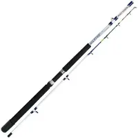Expert Predator Master Bootsrute Silber 2.10 m / 100-180 g Silber 2.10 m