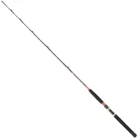 Daiwa Megaforce Ar Trollingrute Silber 1.70 m / 50-80 Lbs Silber 1.70 m