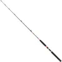 Daiwa Megaforce Trollingrute 1.70 m / 15-30 Lbs 1.70 m