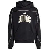 Adidas Stadium Lettering Kapuzenpullover