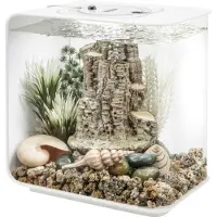 Oase Decor Set Forest Rhythym
