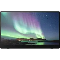 Ricoh - Portable Monitor 150BW OLED 15,6'' (Wireless)