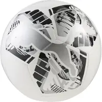 Puma BIG CAT ball