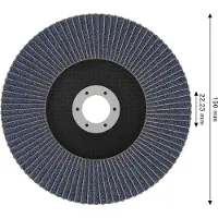Bosch Accessories 2608626154 Fächerschleifscheibe 1 St.