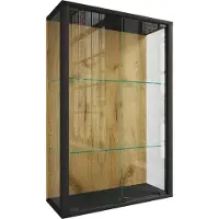 VCM Wandregal "Wandvitrine Hängevitrine Glasvitrine Glas Udina M", braun (schwarz, honig, eiche), B:60cm T:25cm, Regale, Wandregal