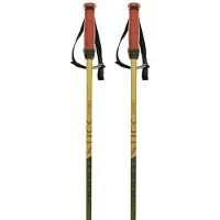 Völkl Herren Alpin-Skistock PHANTASTICK 16MM GREEN POLES